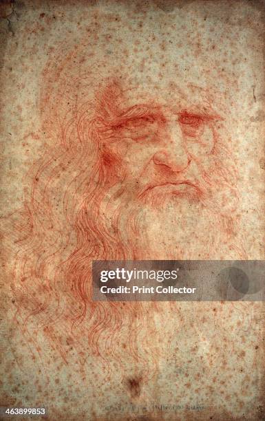 Self portrait of Leonardo da Vinci, Italian painter, sculptor, engineer and architect, c1513. Da Vinci's scientific drawings featured ideas such as a...