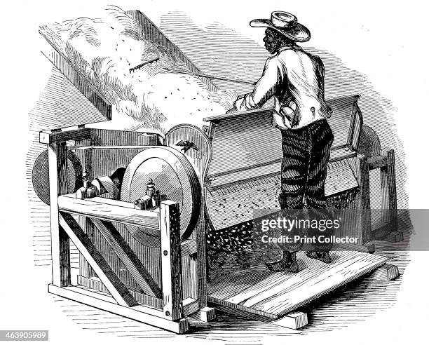 Saw gin for cleaning cotton being operated by barefoot black labourer, southern USA, 1865. An Eagle gin, an improved form of the cotton gin invented...