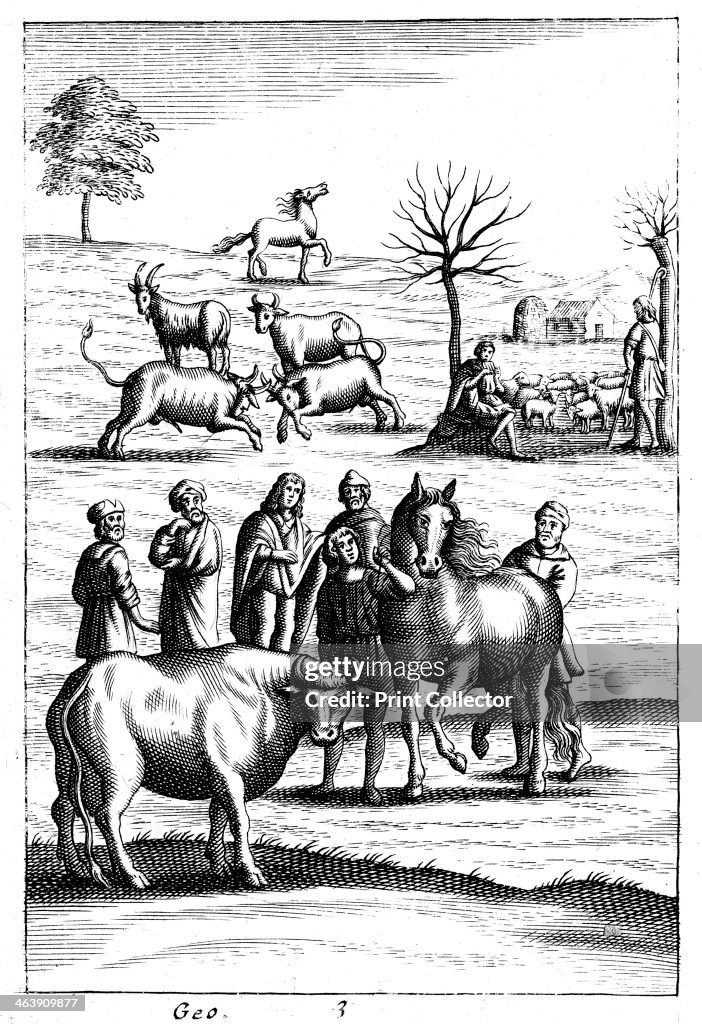 Sheep, cattle, horses and goats, 18th century. In the foreground a ...