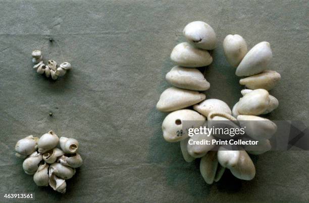 Strings of Cowrie shells. Through the ages, these have been widely used as a form of currency.