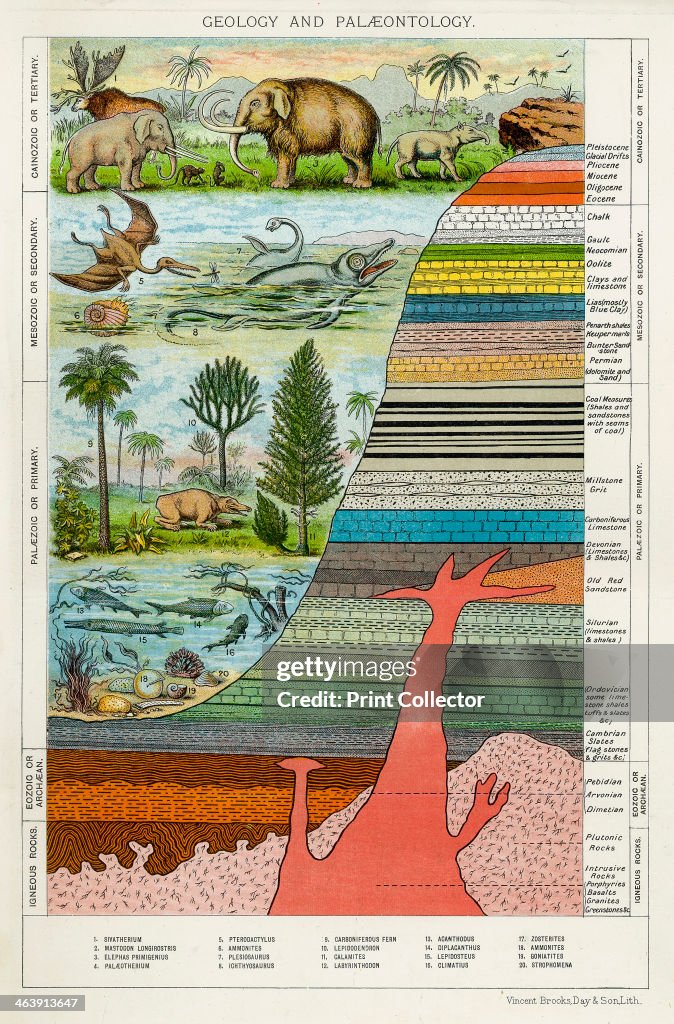 'Geology and Palaeontology', c1880.