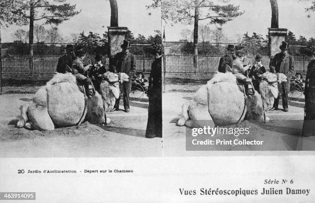 Camel ride, zoological gardens, c1900. French stereoscopic imaging postcard.