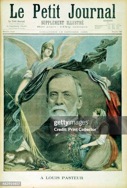 Louis Pasteur, French chemist, 1895. Pasteur developed the pasteurisation process which kills pathogens in milk, wine and foods, and he produced...