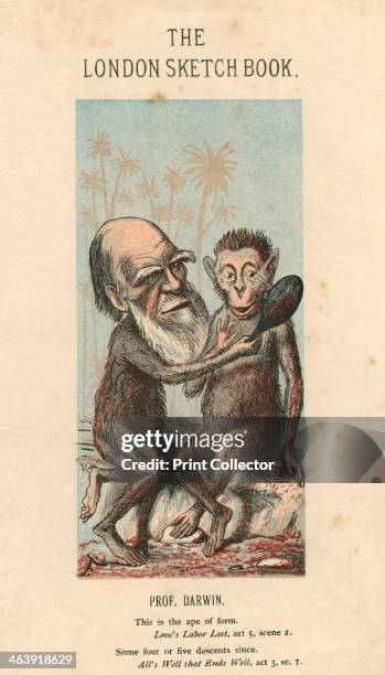 Charles Darwin English naturalist. Cartoon, depicting Darwin's head superimposed on an ape's body, showing another ape its reflection in a mirror, a...