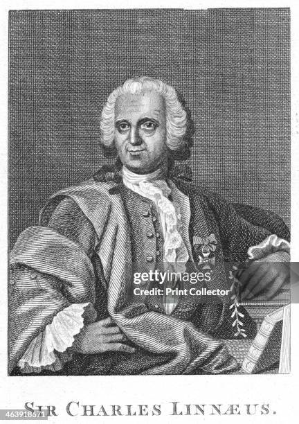 Linnaus 98 Carl Von Linnaeus Stock Photos, High-Res Pictures, and Images ...
