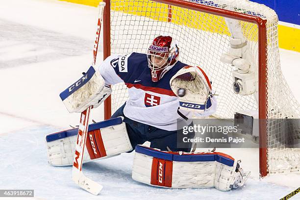 Goaltender Denis Godla of Slovakia makes a glove save against Canada during the 2015 IIHF World Junior Championship on January 04, 2015 at the Air...