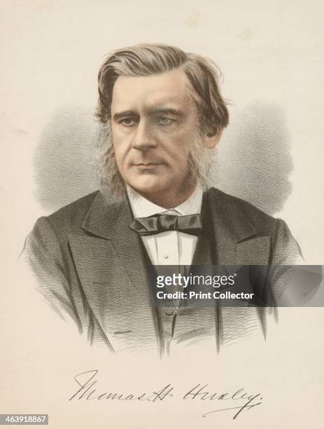 Thomas Henry Huxley, English biologist, c1880. Huxley was a prominent supporter of Darwin in the controversy that raged over his theory of evolution...