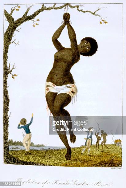 'Flagellation of a Female Samboe Slave', 1806. The slave is tied from a branch of a tree in an obvious state of distress and pain. In the background...