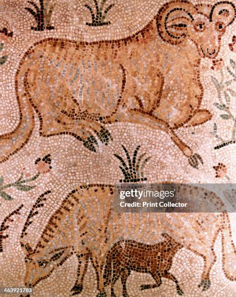 Roman Cow 1,968 Roman Farming Stock Photos, High-Res Pictures, and Images - Getty ...