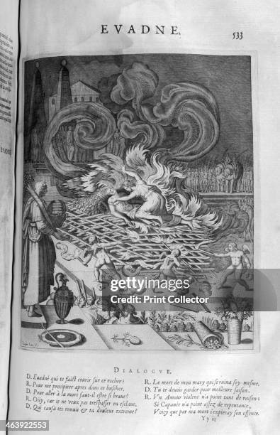 61 Evadne Stock Photos, High-Res Pictures, and Images - Getty Images