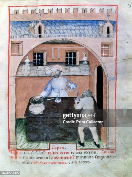 Seller of capers, 1390-1400. Illustration from Tacuinum Sanitatis, illuminated medical manual based on texts translated from Arabic into Latin, in...
