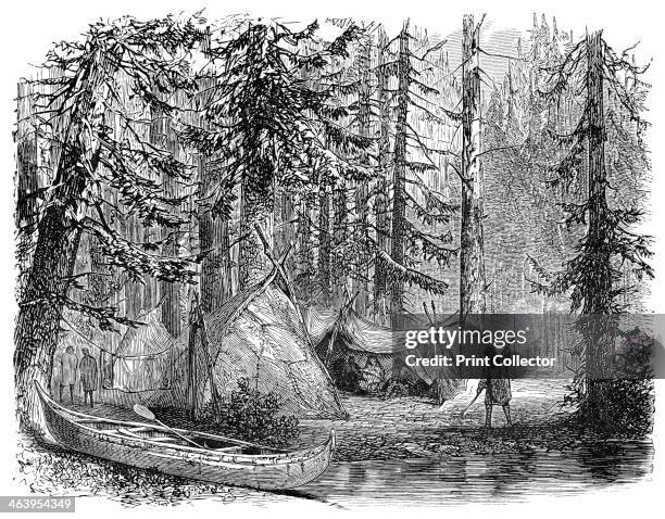 The Woods before the Emigrant, 1900. Virgin forest in Canada. Illustration from The life and times of Queen Victoria by Robert Wilson, .