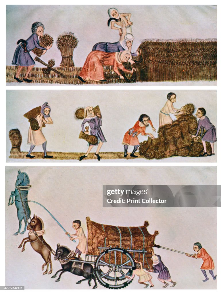 Reaping, carrying, and carting, c1300-1340, (c1900-1920).