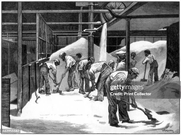 Sugar making at the Counterslip refinery, Bristol, 1873. A print from the Illustrated London News, .