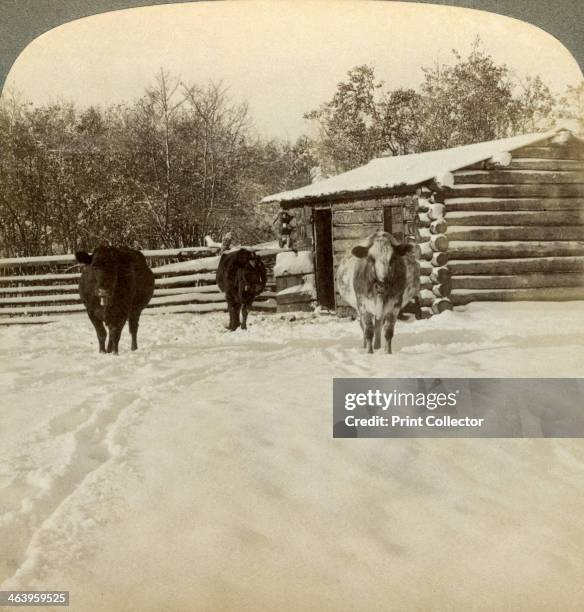 Winter on a ranch, Montana, USA. Stereoscopic card detail.