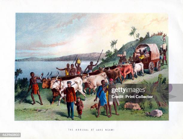 'The Arrival at Lake Ngami', 19th century. Lake Ngami is a lake in Botswana north of the Kalahari Desert. It is seasonally filled by the Okavango...