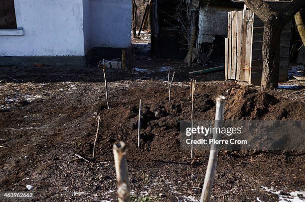 Wooden sticks mark the grave of a unknown person in the yard of a house on February 20, 2015 in Debaltseve, Ukraine. The strategic railway town of...