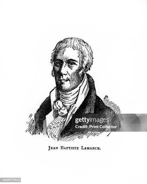 Jean-Baptiste Lamarck, French naturalist, . Lamarck formulated the doctrine of 'Transformism' , a theory of evolution which stated that acquired...