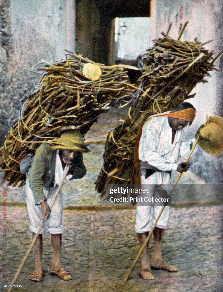 Two men carrying bundles of wood on their backs, Mexico, early 20th century.