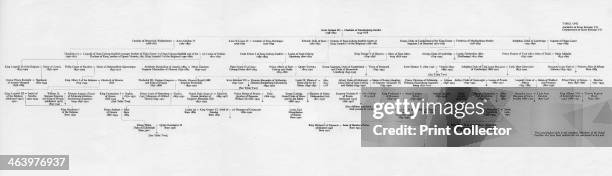 Getty Family Tree Photos And Premium High Res Pictures Getty Images getty-family-tree-photos-and-premium-high-res-pictures-getty-images