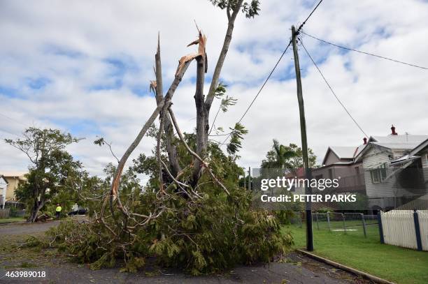 General view shows tree branches torn down by Tropical Cyclone Marcia in the northern Queensland town of Rockhampton on February 21, 2015. Australia...