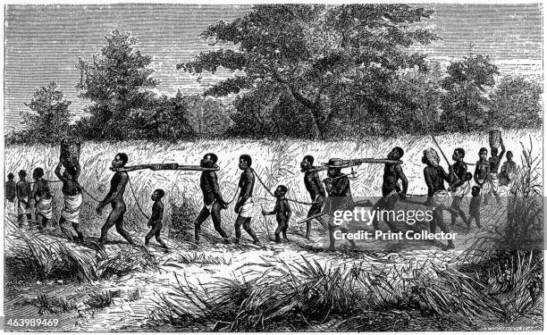 Chained and yoked slaves on the march to the trading station, 1965. A print from The Slave Trade and its Abolition, edited by John Langdon-Davies,...