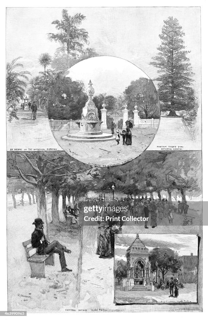 Pleasure gardens, Sydney, New South Wales, Australia, 1886.Artist: WJ Smedley