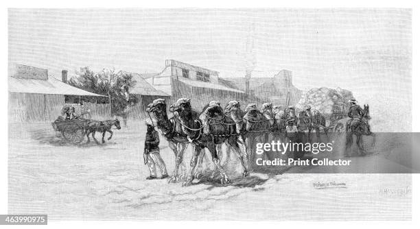 Camel team, Wilcannia, New South Wales, Australia, 1886. Wilcannia is a small town located within the Central Darling Shire in New South Wales. Wood...