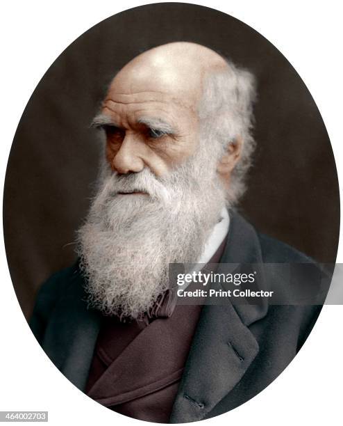 Charles Darwin, British naturalist, 1878. Darwin started his career on board the HMS 'Beagle' and spent six years surveying the South American seas....