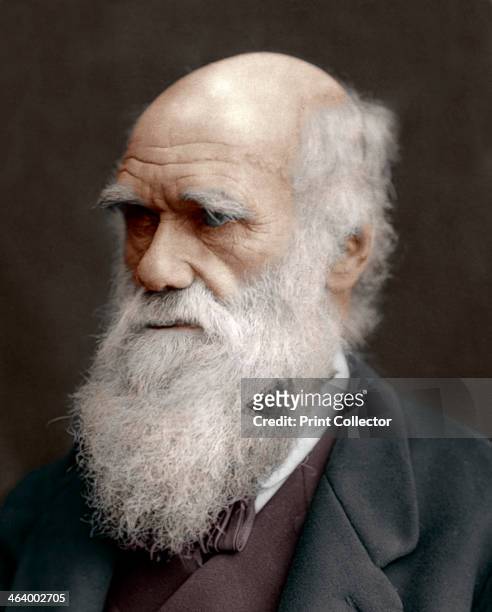 Charles Darwin, British naturalist, 1878. Darwin started his career on board the HMS 'Beagle' and spent six years surveying the South American seas....