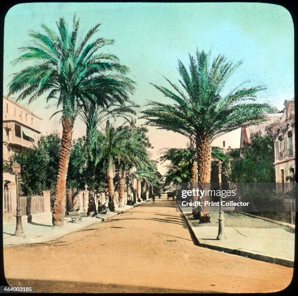 Avenue of Palms, Hyeres, France, late 19th or early 20th century. Hyeres is the oldest resort on the French Riviera. Lantern slide.