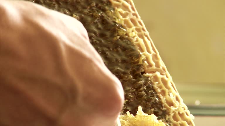 Extraction Videos 112 Honey Extraction Stock Videos, Footage, & 4K Video Clips - Getty Images