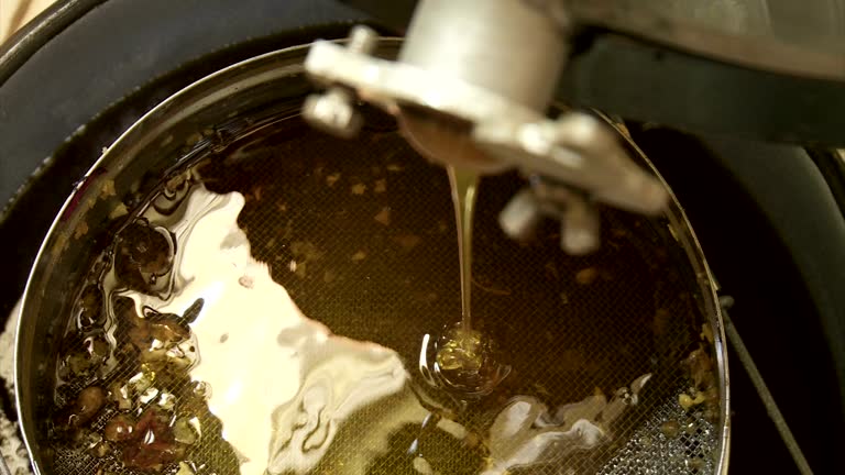 Extraction Videos 112 Honey Extraction Stock Videos, Footage, & 4K Video Clips - Getty Images