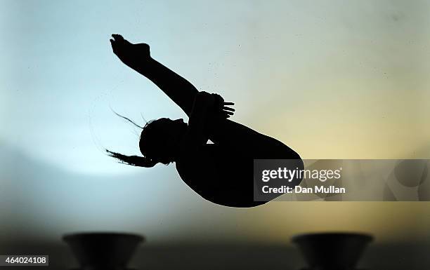 Lois Toulson of City of Leeds Diving Club competes in the Womens Platform Preliminary during Day Two of the British Gas Diving Championships at the...