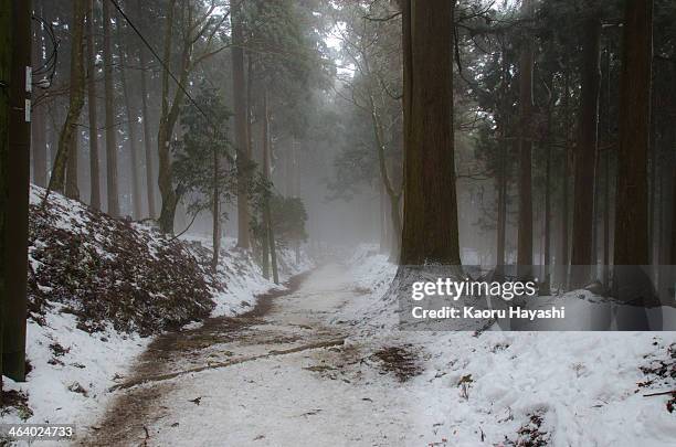 one foggy day in mt.atagoyama in winter, kyoto - kyoto covered with first snow of the season stock-fotos und bilder