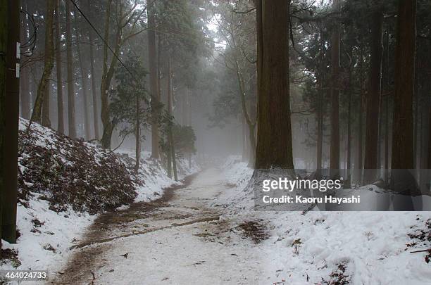 one foggy day in mt.atagoyama in winter, kyoto - kyoto covered with first snow of the season imagens e fotografias de stock