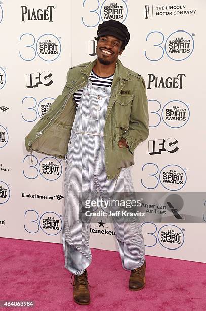 Recording artist Andre 3000 attends the 2015 Film Independent Spirit Awards on February 21, 2015 in Santa Monica, California.