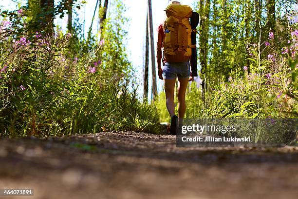 walking down trail - pacific northwest stock pictures, royalty-free photos & images