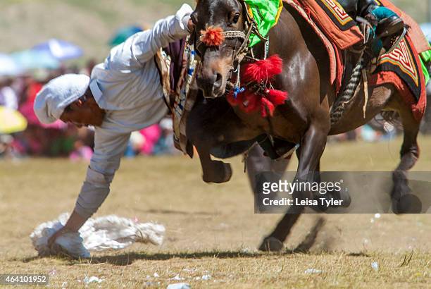 Khampa horseman practices picking up silk scarves from the back of a galloping horse at the Yushu Horse Racing Festival in Qinghai. Otherwise known...