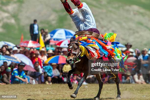 Khampa horseman demonstrates his acrobatic skills - doing head stands and leaning backward to touch the ground- from the back of a galloping horse at...