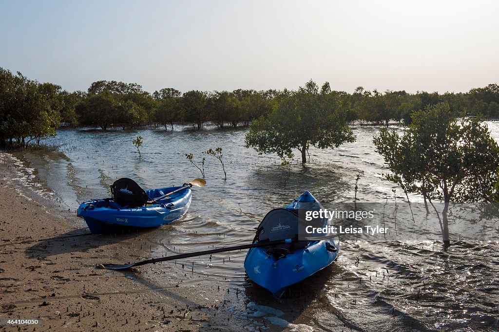 Kayaks in the mangrove forest on Sir Bani Yas...