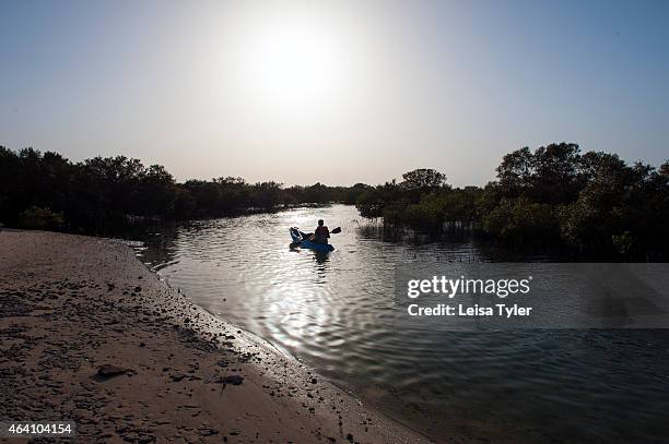 Kayaking in the mangrove forest on Sir Bani Yas, an island in the Persian Gulf. The once private retreat of the United Arab Emirates founder, the...