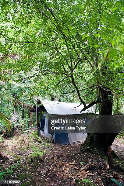 Tents on the Tarkine Getaway, a three day camp based walk through the Tarkine, known as the second largest tract of temperate rainforest in the...