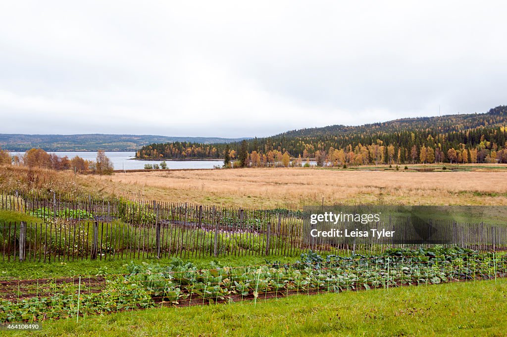 Fäviken, headed by chef Magnus Nilsson, is a 12-seat...