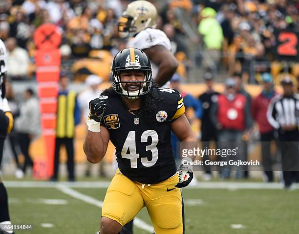 Safety Troy Polamalu of the Pittsburgh Steelers reacts after a play during a game against the New Orleans Saints at Heinz Field on November 30, 2014...