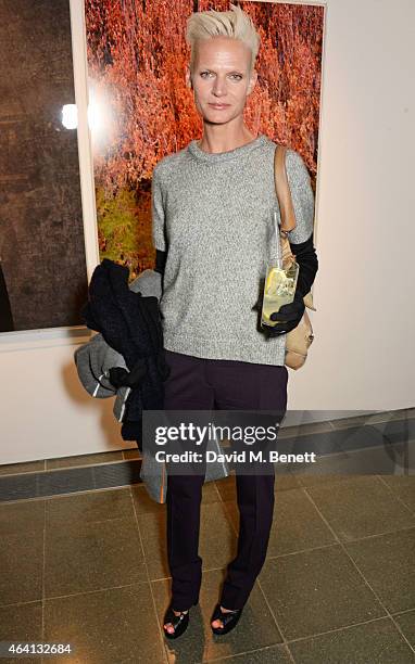 Anna Freemantle attends the Pringle of Scotland Fully Fashioned Exhibition and Autumn/Winter 2015 Womenswear Runway Show at The Serpentine Gallery on...