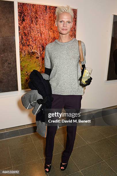 Anna Freemantle attends the Pringle of Scotland Fully Fashioned Exhibition and Autumn/Winter 2015 Womenswear Runway Show at The Serpentine Gallery on...