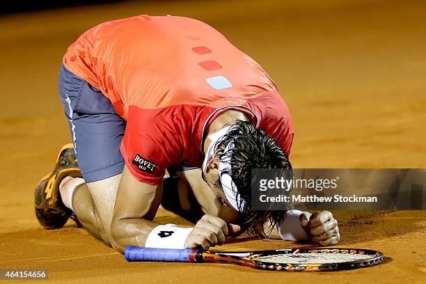 David Ferrer of Spain celebrates match point against Fabio Fognini of Italy during the final of the Rio Open at the Jockey Club Brasileiro on...