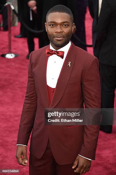 Actor David Oyelowo attends the 87th Annual Academy Awards at Hollywood & Highland Center on February 22, 2015 in Hollywood, California.