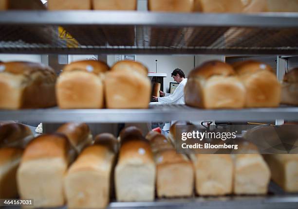 Bread Rack In Lab 113 Enzyme Production Stock Photos, High-Res Pictures, and Images ...